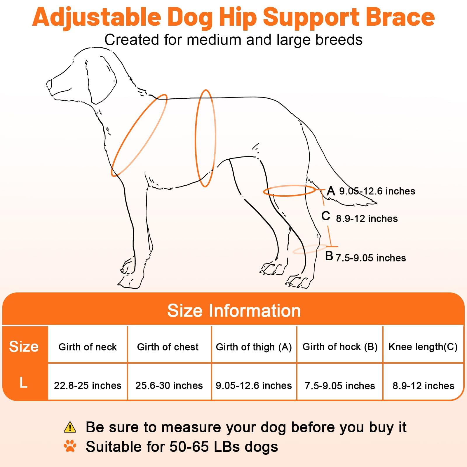 Heylaca Dog Knee Brace with Harness Adjustable Dog ACL Knee Brace for Luxating Patella, Cruciate Ligament Injury and Joint Pain, Rear Leg Braces for Medium & Large Breeds (Suitable for 50-65 LBs Dogs)