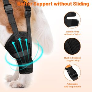 Heylaca Dog Knee Brace with Harness Adjustable Dog ACL Knee Brace for Luxating Patella, Cruciate Ligament Injury and Joint Pain, Rear Leg Braces for Medium & Large Breeds (Suitable for 50-65 LBs Dogs)