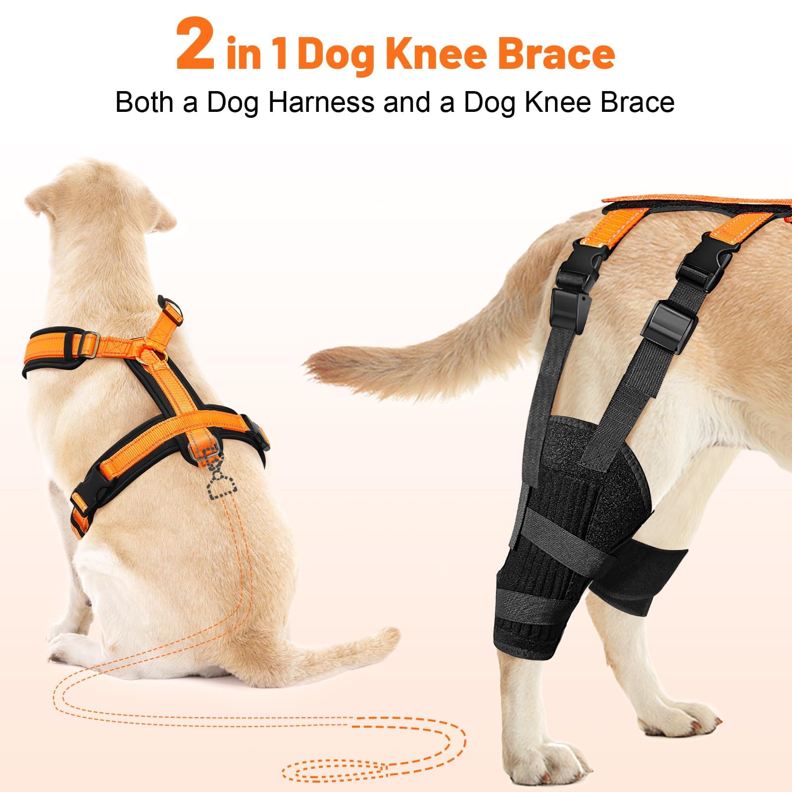 Heylaca Dog Knee Brace with Harness Adjustable Dog ACL Knee Brace for Luxating Patella, Cruciate Ligament Injury and Joint Pain, Rear Leg Braces for Medium & Large Breeds (Suitable for 50-65 LBs Dogs)