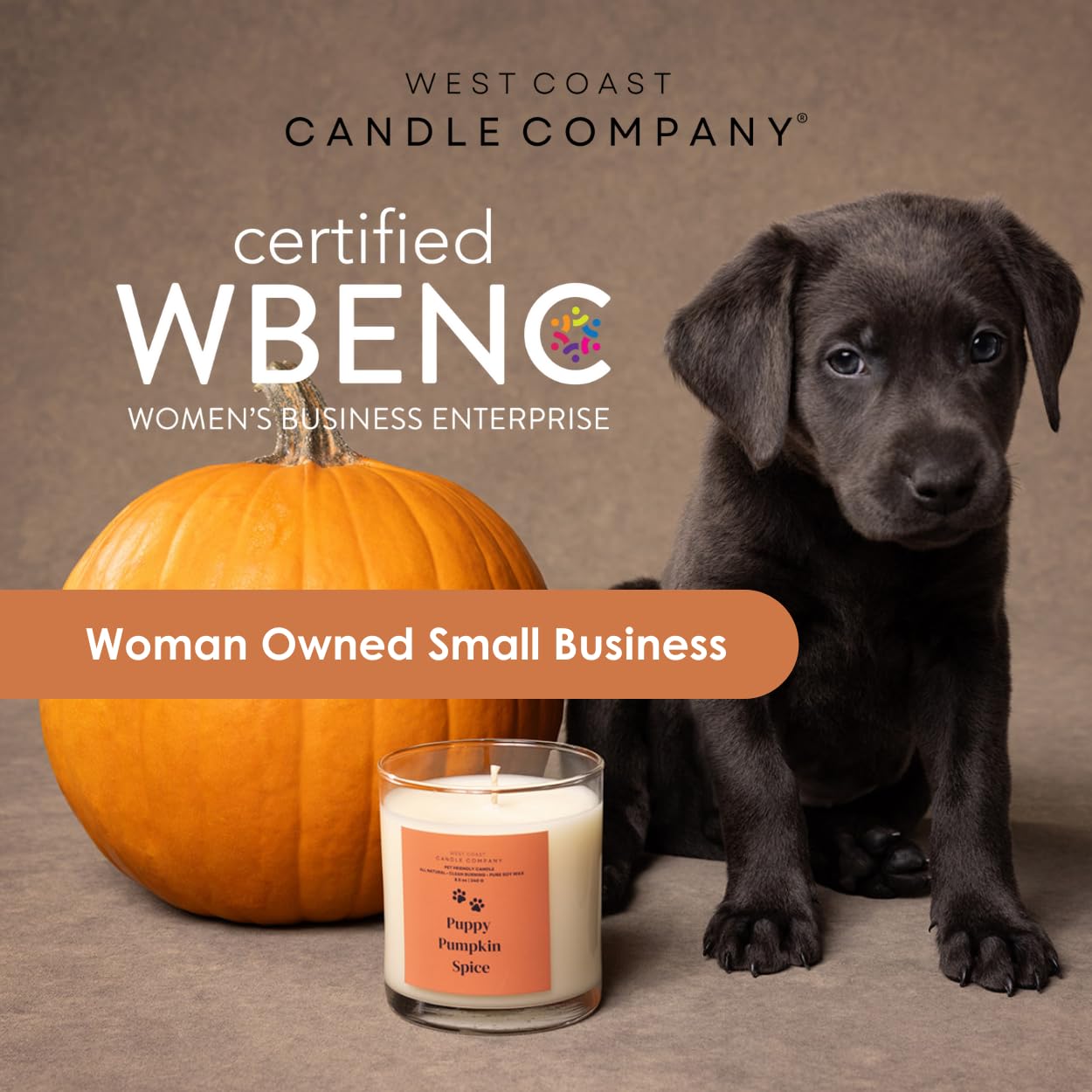 Pet Friendly Wax Melts | Pet Safe Wax Melts | All Natural Dog Safe Wax Melts | Non-Toxic Wax Melts | Pet Odor Eliminator | Pure Soy Wax Melts | Veterinarian Approved (Pumpkin Pecan Waffles)