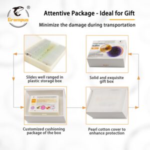 30 Prepared Microscope Slides with Specimens for Kids Students - Insects, for Biological Science Lab, Children's Science Education, Homeschooling Use