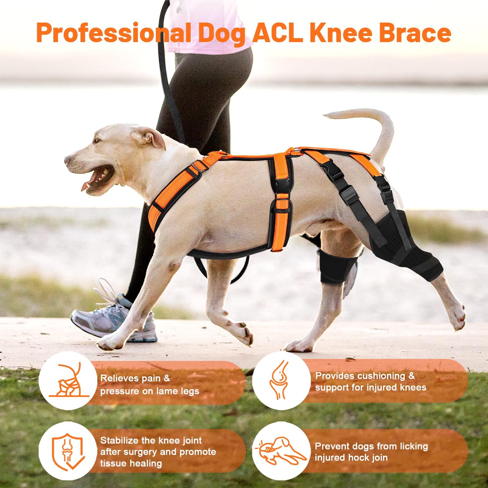 Heylaca Dog Knee Brace with Harness Adjustable Dog ACL Knee Brace for Luxating Patella, Cruciate Ligament Injury and Joint Pain, Rear Leg Braces for Medium & Large Breeds (Suitable for 50-65 LBs Dogs)