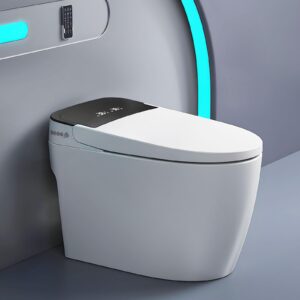 smart toilet,one piece bidet toilet for bathroom with auto open & close lid and seat,warm water and dry,heated seat,foot sensor and night light, auto flush