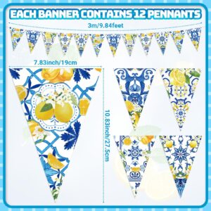 Faccito 5 Pcs Blue Tiles Lemon Decor Lemon Bunting Banners Blue Tiles Paper Pennant Garlands Lemonade Hanging Triangle Flags for Wedding Birthday Bridal Shower Bachelorette Party Decorations