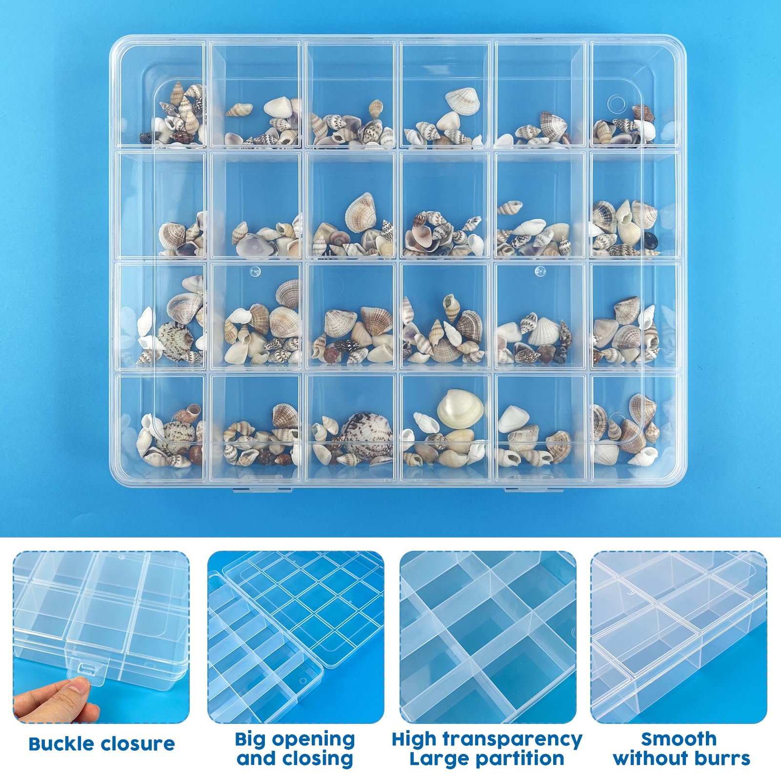 Rainmae Seashell Display Box, 24 Grids Seashell Storage Box, Transparent Plastic Seashell Starfish Trinket Storage Box, Small Craft Organizers Container for Bead, Nail, Jewelry, Stones