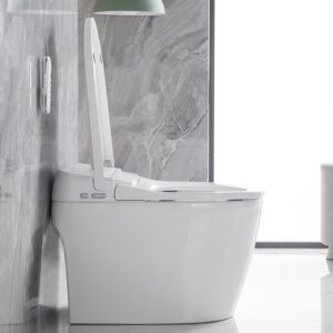 WinZo Luxury Smart Toilet with Bidet Built In, Intelligent Toilet with Heated Seat, Elongated One Piece Toilet with Auto Flush, Instant Warm Water & Dryer, Night Light, White