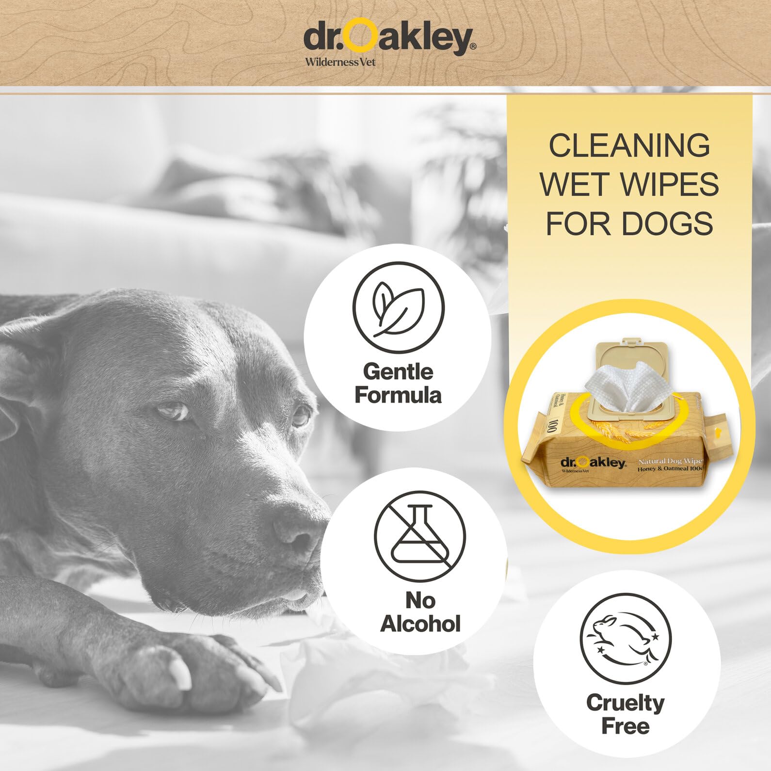 Dr. Oakley Daily Natural Dog Wipes, Honey & Oatmeal, 100 Ct, Gentle, Moisturizing, Odor-Eliminating, Alcohol-Free, Vet Approved