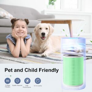 Luripid Kilo Air Purifier Filter Replacement, Compatible with Afloia KILO, KILOPLUS, KILOPRO, MIRO,MIRO PRO and MORENTO MR-Kilo, Kalo Air Purifier, 2 Pack (Green-pet Care Filter)