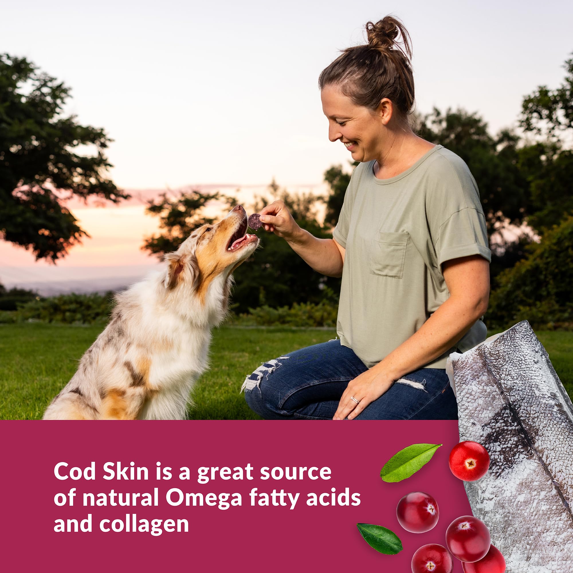 Wild Eats Cod Skins Dog Treat Superfood Medallions 3oz - Only Cod & Cranberry, Urinary Tract for Dogs Health Support