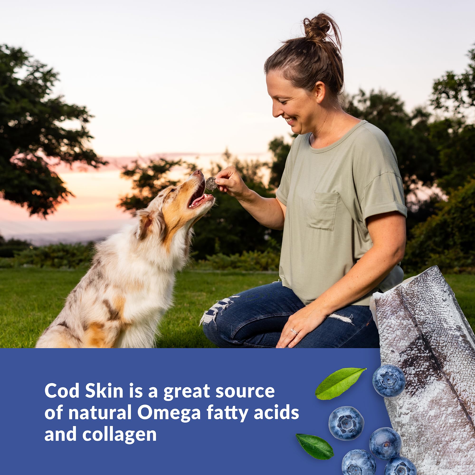 Wild Eats Cod Skins for Dogs, Superfood Healthy Dog Treat Training, 3oz Limited Ingredient Real Blueberry & Cod High in Antioxidants, High Protein, and Marine Collagen for Small, Medium and Large Dogs