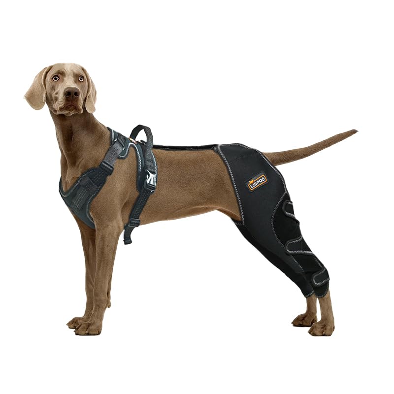 LISPOO Dog Knee Brace for hind Leg Warms Joints and Stable, Dog Leg Brace Fully Wraps hind Legs, Dog Acl Brace for Leg Wounds and Prevent Licking L