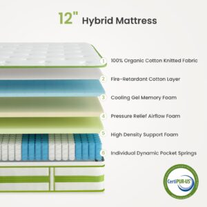 Dourxi Queen Mattress, 12 Inch Mattress in a Box, Hybrid Mattress Queen, Organic Cotton Fabric Cover and Individual Pocket Springs, Cooler Sleep and Pressure Relief, Plush Support Feel, 80*60*12Inch