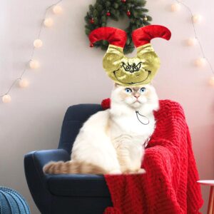 Funny Christmas Pet Hat,Festive Xmas Holiday Accessory for Small Dogs/Cats, Crazy Decoration for Party Holiday,Green 1Pcs