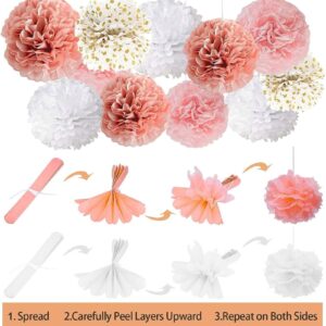 Hyfant Bachelorette Party Decorations Rose Gold Bridal Shower Decorations Bride To Be Decor Supplies Balloon and Banner Set Butterfly Stickers Tassel Tissue Pom Pom Kit for Bachelorette Party Wedding