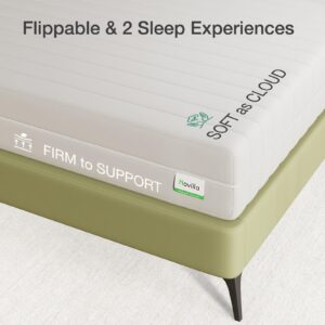 Novilla Full Size Mattress, 8 Inch Foam Mattress, Flippable Mattress with Breathable Soft Cover for a Dry, Clean and Double Side Sleep, Full Mattress with Tight Top