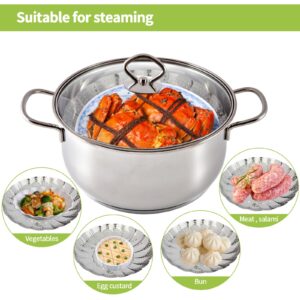 IQworks Steamer Basket, Stainless Steel Folding Steamer Basket (6 to 10.3 inches), 3rd Generation, Steamer for Cooking, Vegetable Steamer, Steamer Basket for Pot, Expandable to Fit Various Sizes