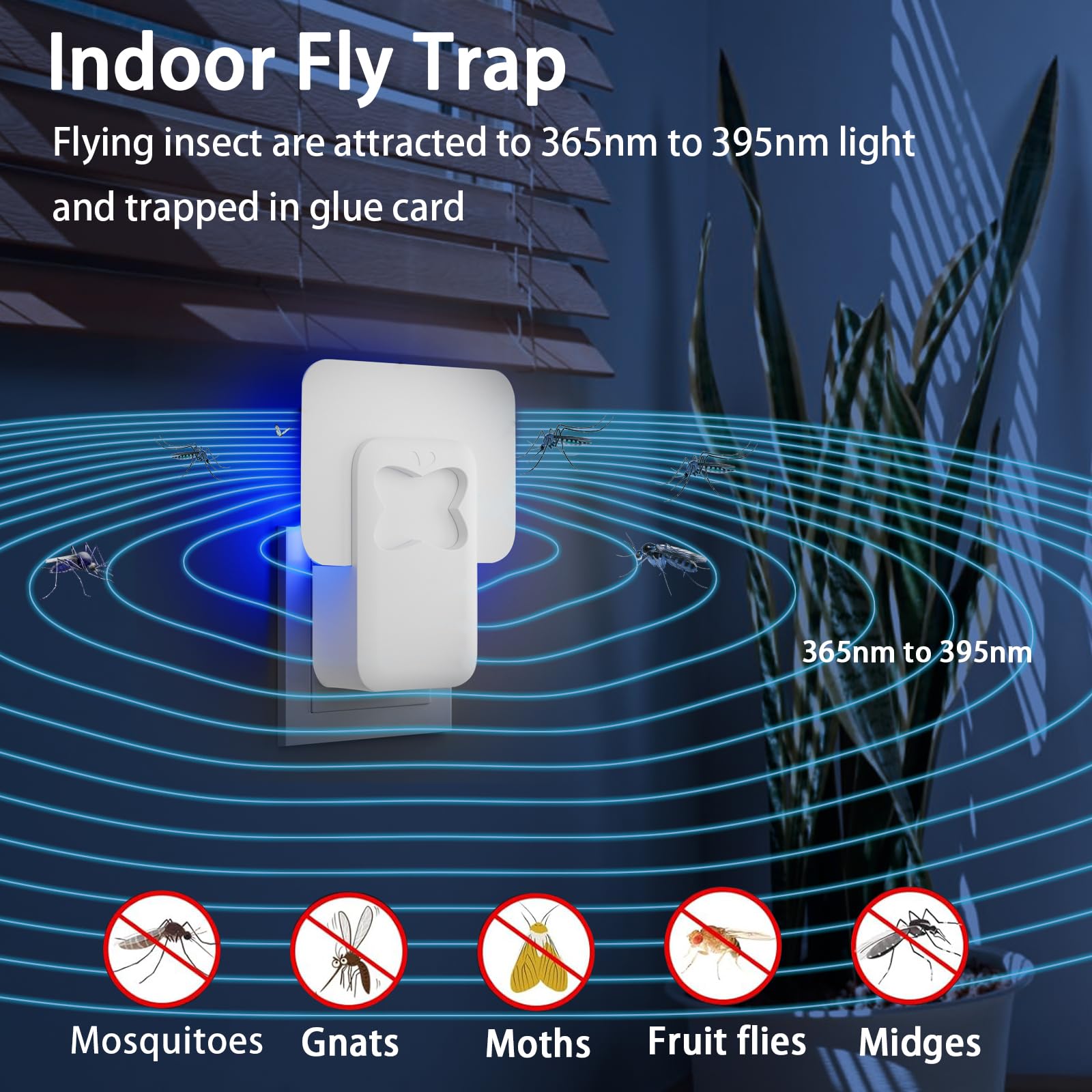 Fruit Fly Traps for Indoors, Plug-in Flying Insect Trap, Fly Catcher Indoor for Mosquito, Fruit Flies, Gnats, Moths, Gnat Killer Indoor, Gnat Traps, Bug Traps Fly Traps Indoor for Home