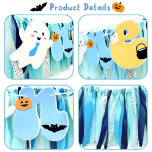 Fiesec Spooky One Birthday Highchair Banner Boy, Blue Halloween 1st Birthday Decorations Boy, Ghost First Party Decor, Little Boo Is One High Chair Ribbon Banner Smash Cake Photo Prop