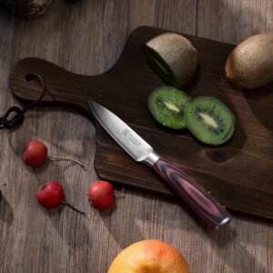 PAUDIN Boning Knife + Paring Knife