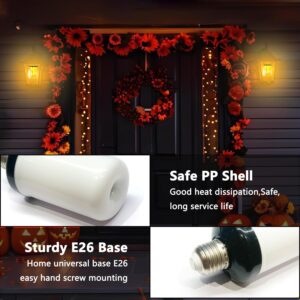 DAYBETTER LED Flame Light Bulbs, 2 Pack Flickering Light Bulbs, 4 Modes Halloween LED Bulbs, E26 Base Fire Bulb for Halloween, Christmas Decorations, Party, Outdoor, Indoor, Home Decor