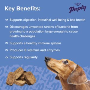 Puply Probiotics for Dogs- Veterinarian-Formulated- Beneficial Prebiotics and Probiotics- Supports Digestive, Immune, Gut Health, Allergy, Diarrhea, Yeast, Itching- Soft Chews- 90 Count- Duck Flavor