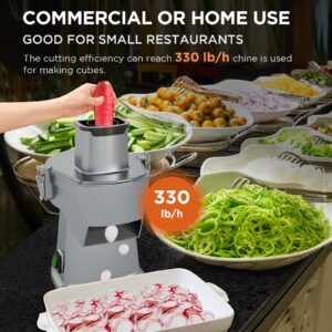 LIANQIAN 4 in 1 Electric Vegetable Chopper, Multifunctional Food Cutter＆Slicer, Mandoline Slicer & Cheese Grater, 200W Multi Blade French Fry Cutter & Veggie Slicer＆Dicer with Cut-Resistant Gloves