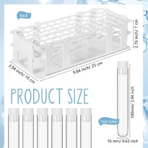 Threehoney 120 Pcs Plastic Test Tubes with Rack Set 16 x 100mm Test Tube with Caps and 60 Holes Tubes Rack for Scientific Experiments Candy Liquid Spice Seed Storage Party Decorations (White)