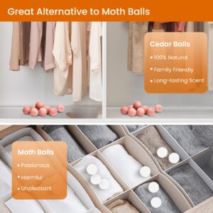 Homode Cedar Blocks for Clothes Storage, 50 Pcs Cedar Balls for Closets and Drawers, Scented Cedar Wood Chips Cedar Closet Freshener