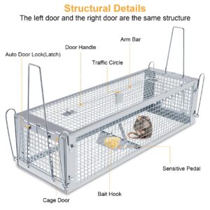 Humane Rat Trap, Large 2-Door Mouse Traps That Work for Indoor Home and Outdoor, Small Rodent Chipmunk Squirrel Trap and Other Live Animal Cage Catch and Release