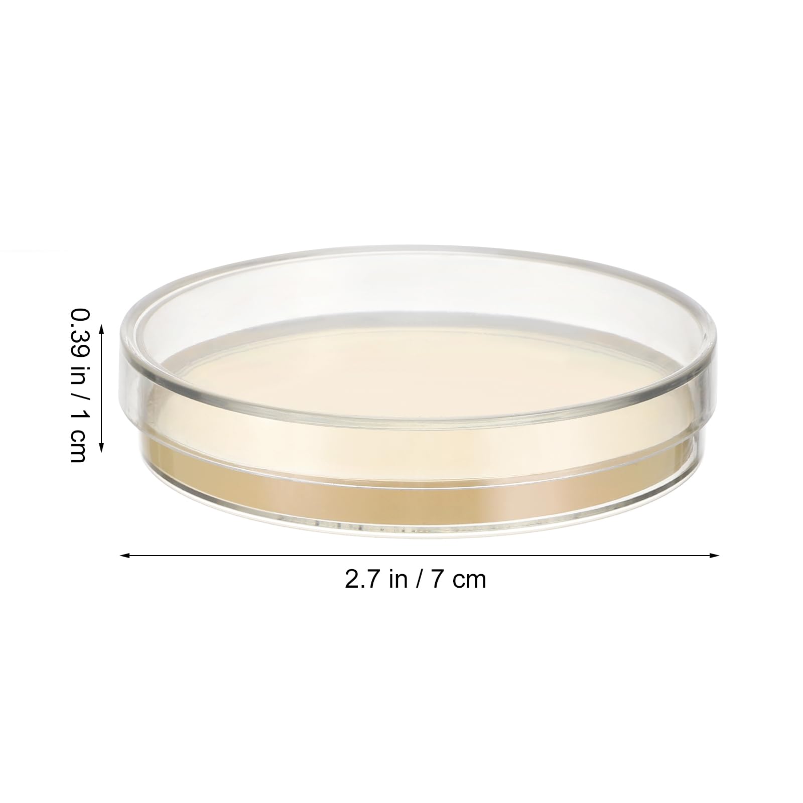 Garneck Set of Petri Dishes Pre-Filled with Agar - Ideal for Mushroom Cultivation Science Experiments & Projects Laboratory Essentials Child Stripe Specimen Collection 10pcs