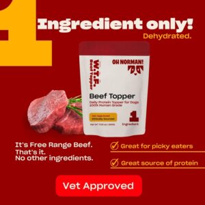 OH NORMAN! Beef Dog Food Topper by Kaley Cuoco, All Natural Single Ingredient, Veterinary Nutritionist Certified, for All Life Stages and Breeds, Made in USA, 7.02 Oz