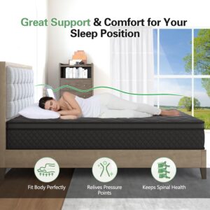 VISCOUNTESS Queen Mattress, 12 Inch Hybrid Mattress Black, Euro Top Mattress Medium Firm for Back & Lumbar Support, 100 Night Trial, Individual Pocket Spring Bed for Motion Isolation & Pressure Relief