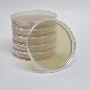 Malt Extract Agar Plates for Mycology, 10 Pack