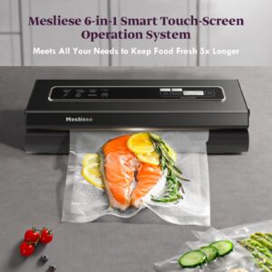 Mesliese Vacuum Sealer Machine 90Kpa 6-in-1 Compact Food Vacuum Sealing Preservation System with Cutter | 2 Bag Rolls | 5 Pre-cut Bags | Dry&Moist Modes | ETL Listed (Dark Gray)