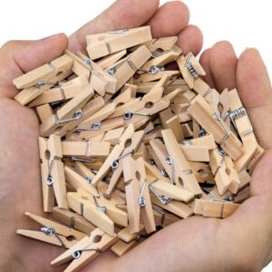 200 PCS Mini Clothespins 1.2 Inch, Mini Clothes Pins for Photos, Small Clothes Pins Wooden, Mini Photo Clips for Baby Shower Crafts DIY Project