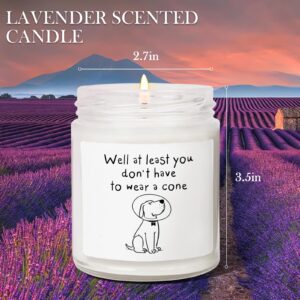 Get Well Soon Gifts for Women Men, Get Well Gifts for Women After Surgery, at Least You Don't Have to Wear A Cone Lavender Scented Candle for Home Decor, Surgery Recovery Gifts for Friends