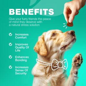 No Poo Chews for Dogs - Coprophagia Deterrent for Dogs - Dog Probiotics for Digestive Health - Forbid for Dogs Stool Eating Deterrent - Digestive, Gut & Immune Health Treats - No Poop Eating for Dogs