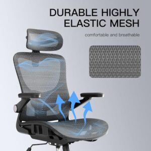 Ergonomic Office Chair, Mesh Office Chair with Rocking Function,Ergonomic Chair with 3D Headrest, 3D Armrests, and Adjustable Lumbar Support,SGS Class 4 Gas Clylinder 300 Lbs Capacity