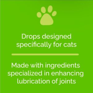 Artricat Dietary Supplement by Interfarma Corp | Cartilage Protection, Reduce Inflammation, & Joint Support for Cats | with Glucosamine, Collagen, & Hyaluronic Acid | Pineapple Flavor, Drops (2)