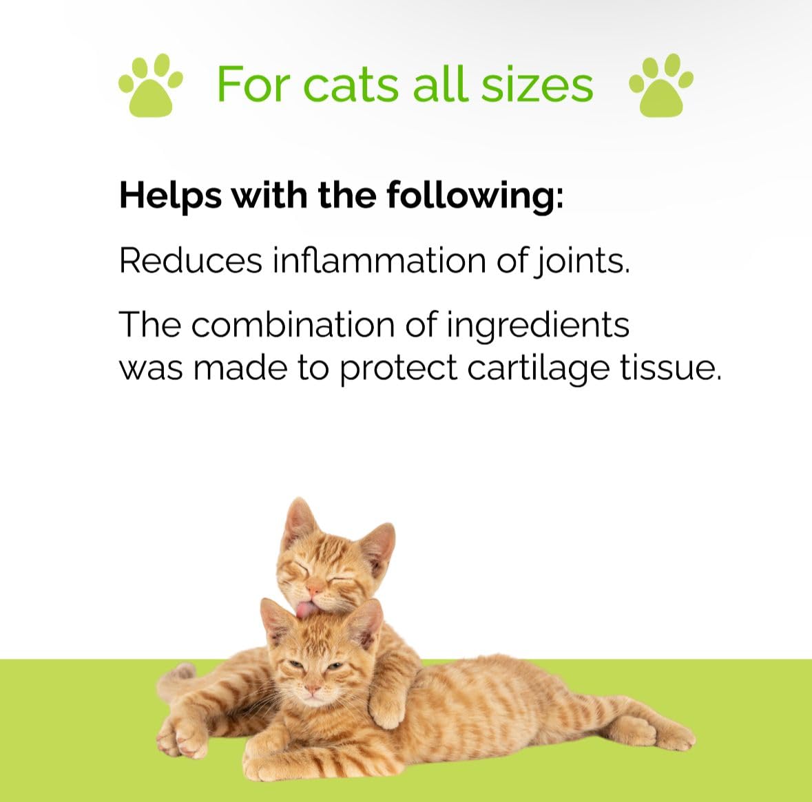 Artricat Dietary Supplement by Interfarma Corp | Cartilage Protection, Reduce Inflammation, & Joint Support for Cats | with Glucosamine, Collagen, & Hyaluronic Acid | Pineapple Flavor, Drops (2)