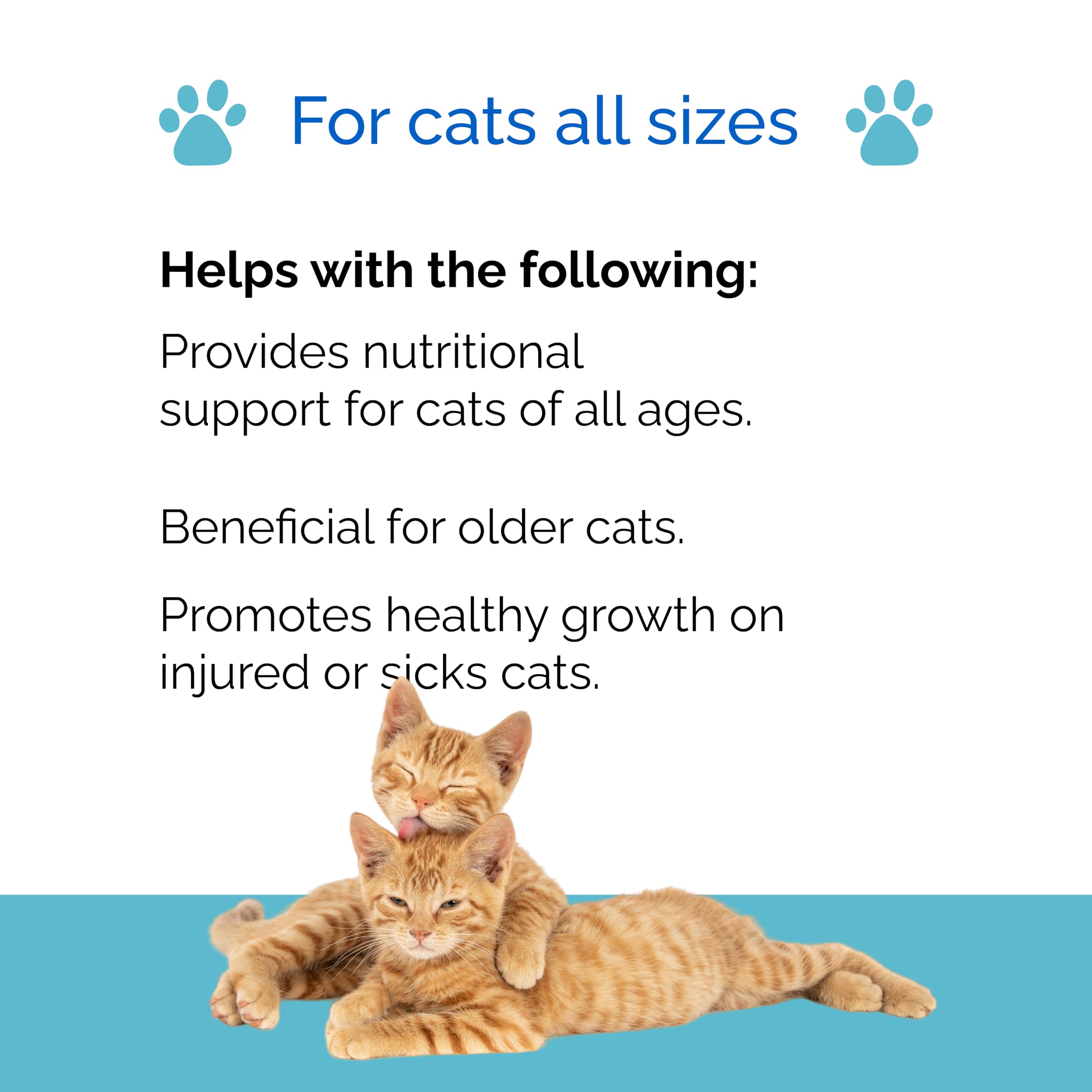 Multivitamin Cats Dietary Suplement by Interfarma | Heart, Digestion, Skin, Coat, & Joint Support Supplement for Cats | with Vitamins, Minerals, Aminoacids, Biotin, & Folic Acid | MULTICAT