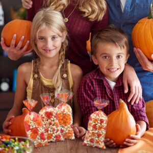 160 Pieces 4 Styles Fall Harvest Cellophane Treat Candy Bags with Twist Ties - Pumpkin and Leaf Designs Clear Goodie Bags for Kids, Thanksgiving Day Party Favors, and Autumn Snack Decorations