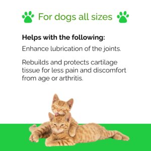 Arthritis & Join Pain Relief Dietary Supplement Small Dogs & Cats by Interfarma Corp | Cartilage Protection, Reduce Inflammation, & Joint Support | with Glucosamine, Chondroitin, Collagen, & MSM.