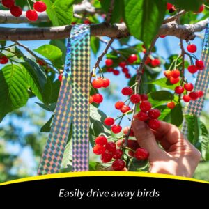 KOKMEYA Bird Scare Tapes 262FT*1 Reflective Flash Tape for Birds, Bird Scare Device Double Side Ribbon Scare Birds Away for House, Garden, Yard, Orchard, Patio, Outdoor