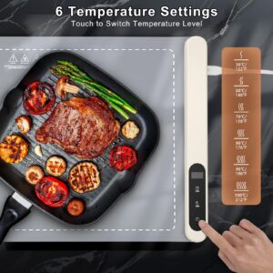 FYY Food Warming Mat - Electric Warming Tray with 6 Temperature Settings and 6 Hours Timer, Full Surface Graphene Heating Food Warmer, Premium Rollable Heating Tray for Gatherings, Parties, Grey