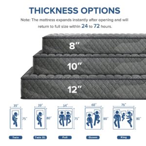 Full Mattress, 10 Inch Medium Firm Hybrid Mattress with Pocketed Springs and Breathable Convoluted Foam, Full Size Mattress in a Box with Pressure Relief and Support, Antistatic, CertiPUR-US Certified