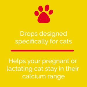 Calcicat D3 Dietary Supplement by Interfarma Corp | Healthy Bones in Cats, & Joint Support Supplement for Cats | with Calcio, Vitamin D3, & Magnesium sulfate | Orange Flavor, Pediatric Drop.