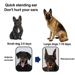 Dog Ear Stand Sticker Up Support Tool, Dog Ear Cover Ear Stand Up for Dogs Dog Ear Fixed Correction Vertical Holder Doberman Ear Posting Kit for Doberman Pinscher Dog (Brown, 10x5cm)