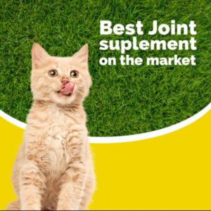 Calcicat D3 Dietary Supplement by Interfarma Corp | Healthy Bones in Cats, & Joint Support Supplement for Cats | with Calcio, Vitamin D3, & Magnesium sulfate | Orange Flavor, Pediatric Drop.