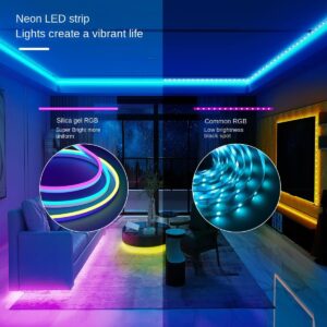 ZZHIC Cross-Border Factory KESHU Neon Light with Waterproof Music led Low Voltage 24V Soft Silicone Light Belt American Gauge (WiFi 5m 480light)